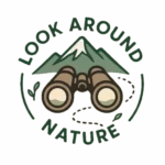 logoclair sansfond