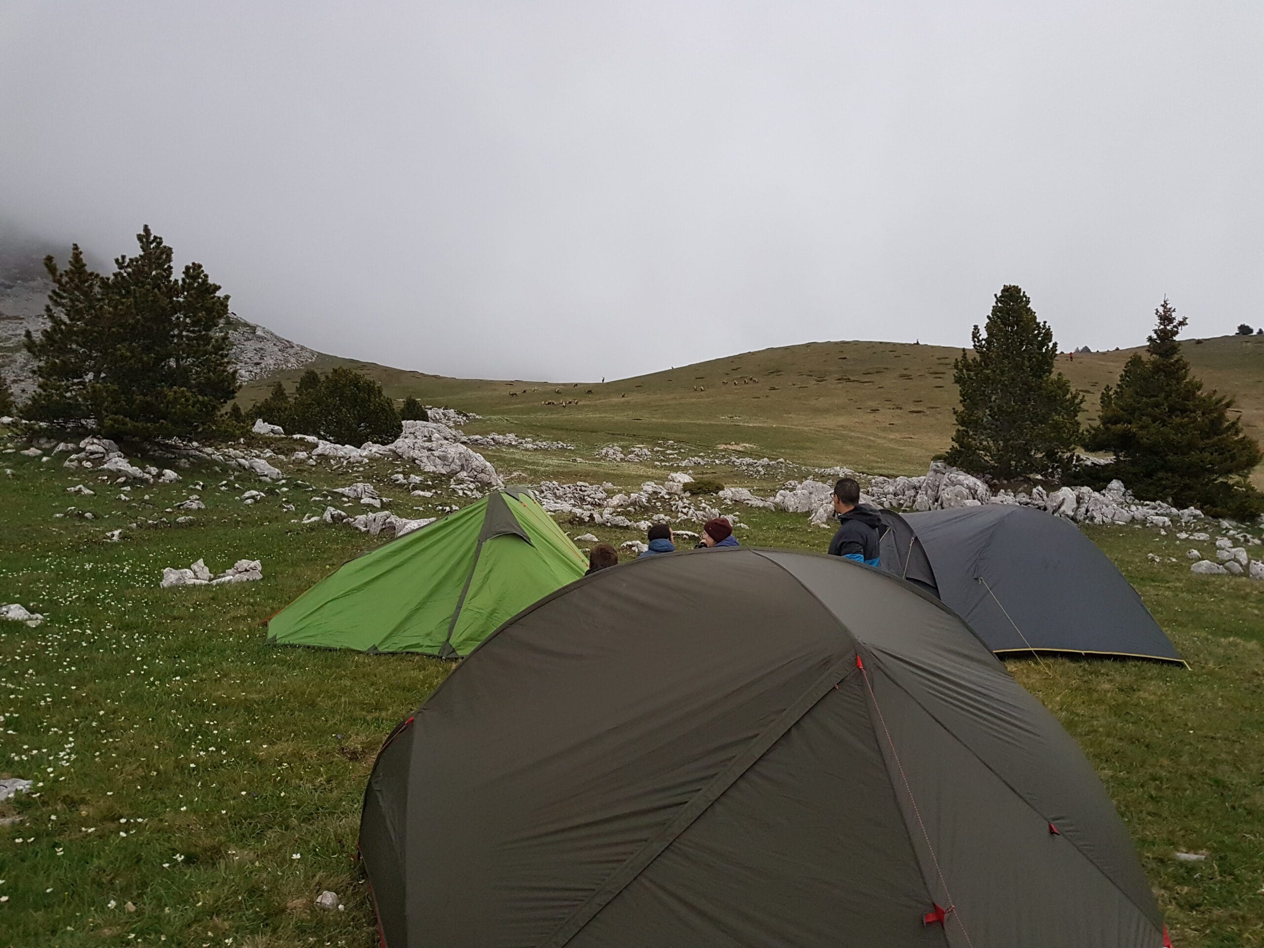 Bivouac au pas des chattons Vercors en 2021
