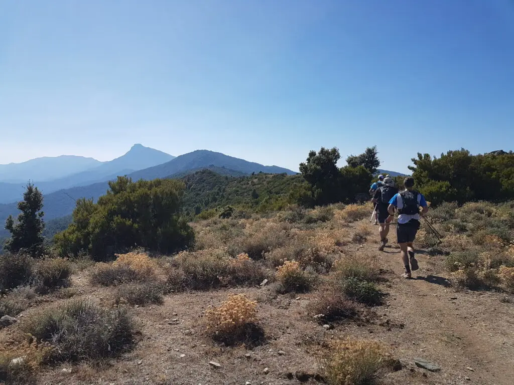 trail corse 2023